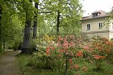 tannenfeld-sommer 2012-050
